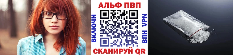 Альфа ПВП СК  Гдов 