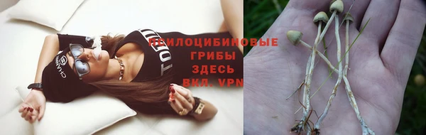 герыч Алексин