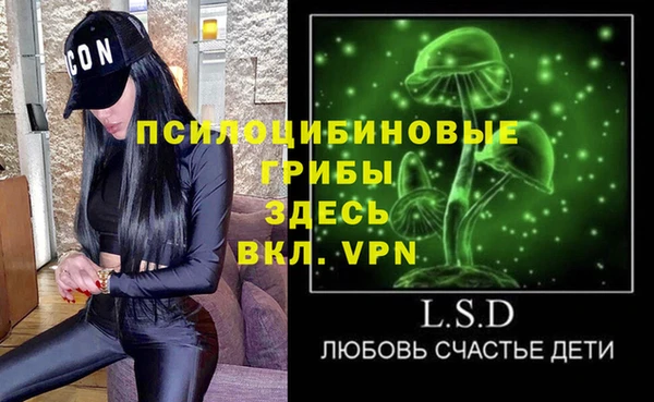 ешки Алексеевка